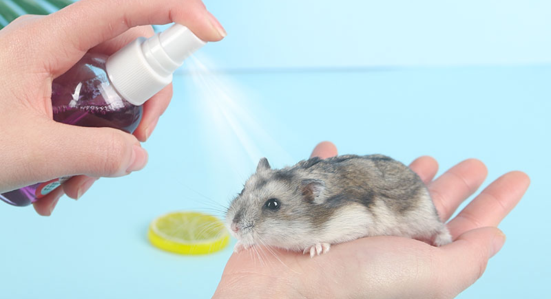 次氯酸寵物消毒